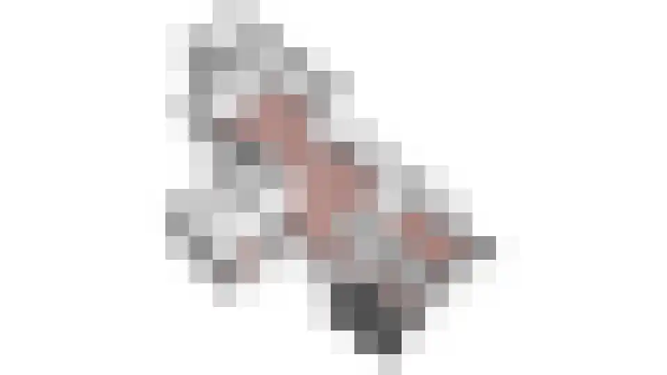 Beughof 9 Odijk thumbnail 28