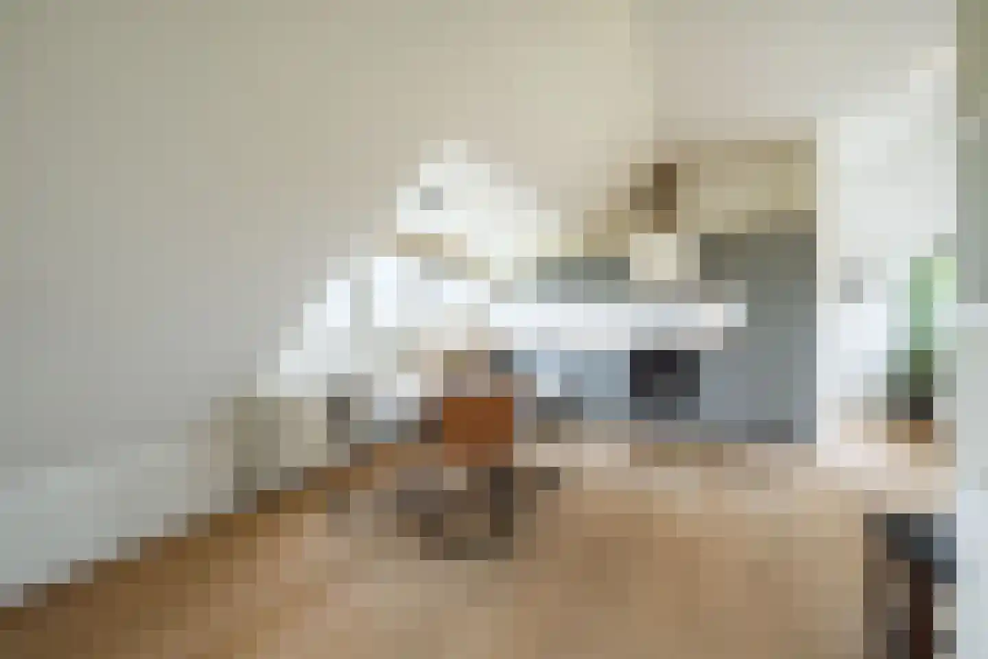 Beughof 9 Odijk thumbnail 6