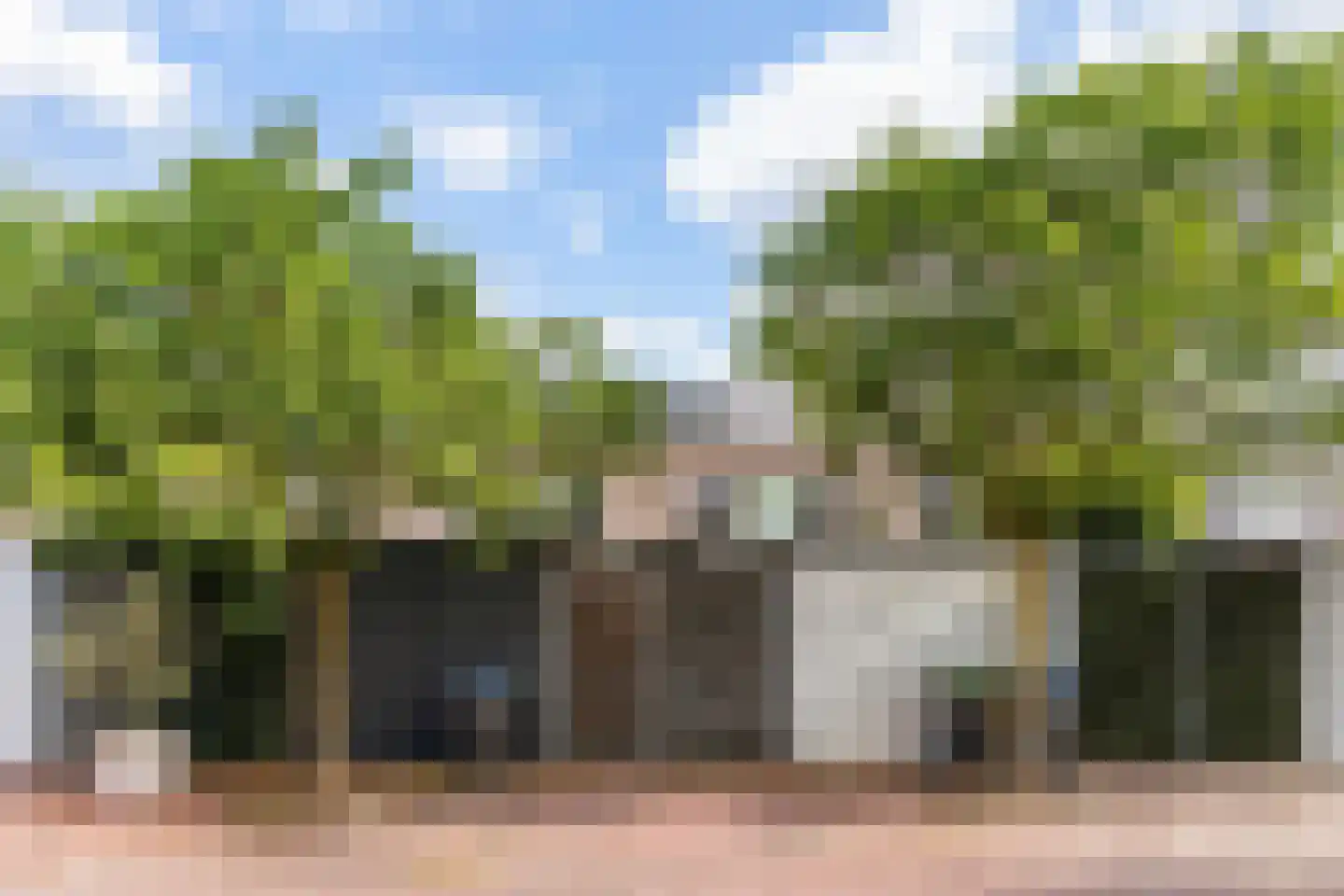 Beugkant 49 Barendrecht thumbnail 44