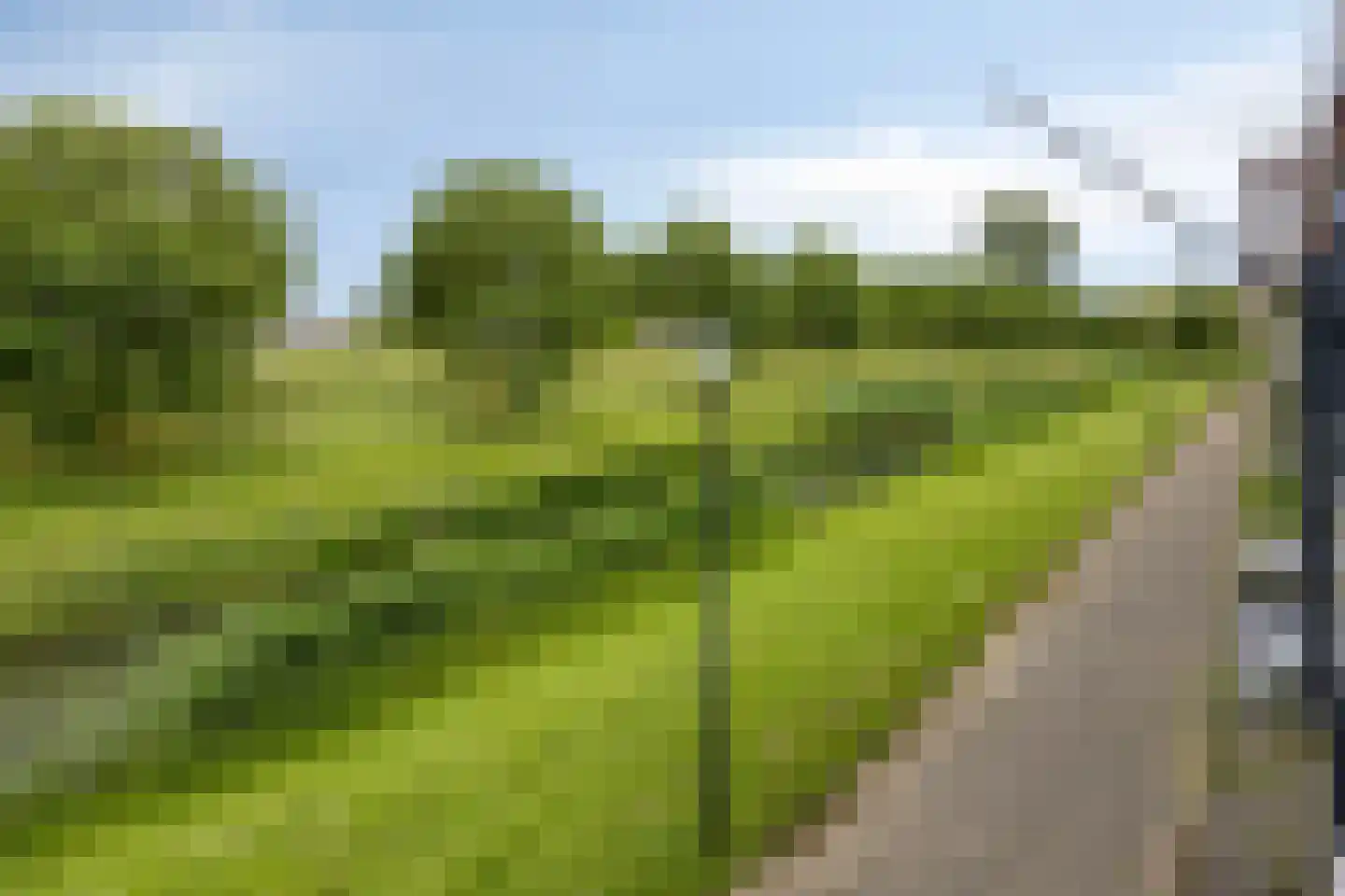 Beugkant 59 Barendrecht thumbnail 47