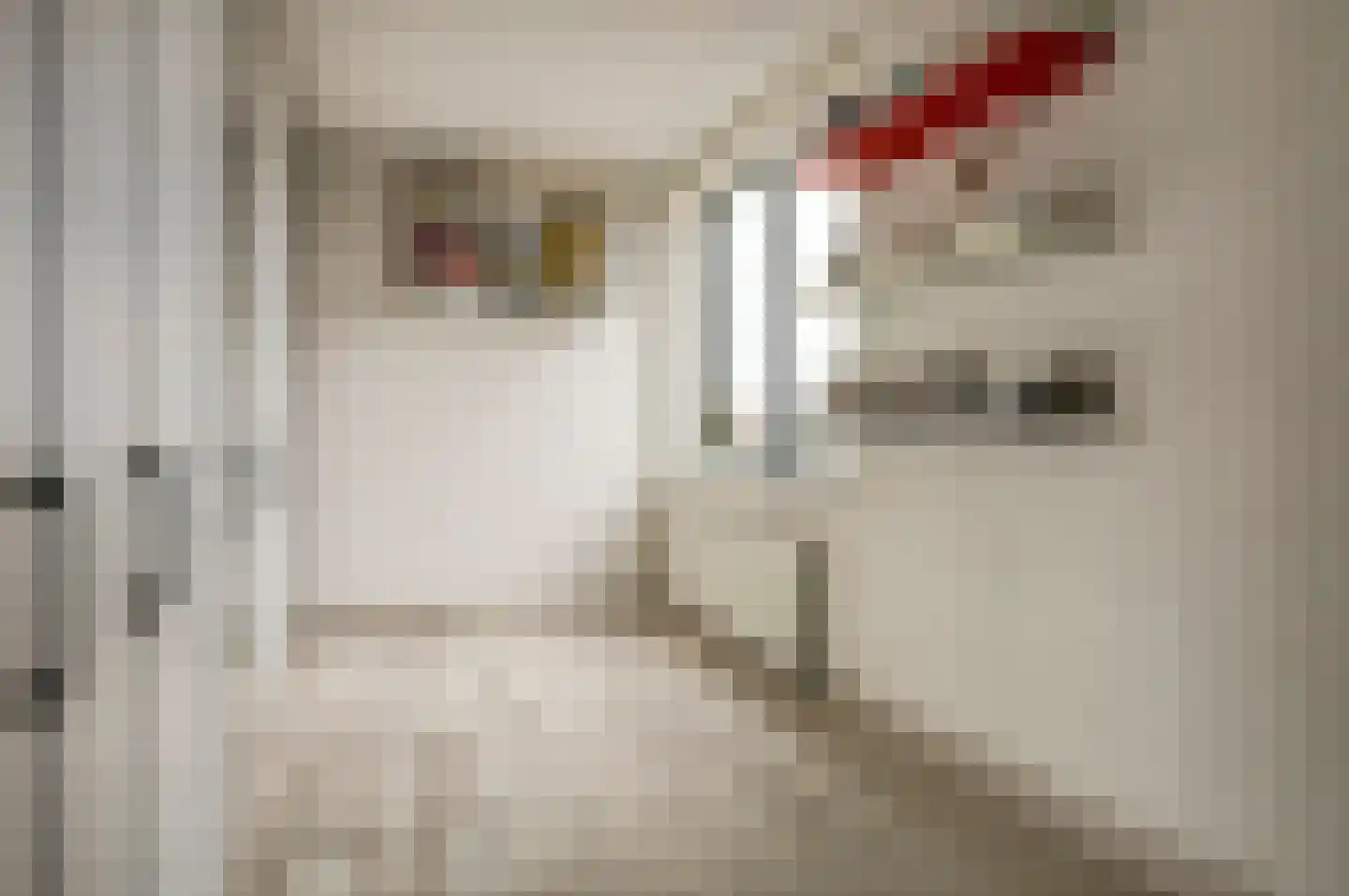 Beugstraat 45 Hoogvliet Rotterdam thumbnail 21