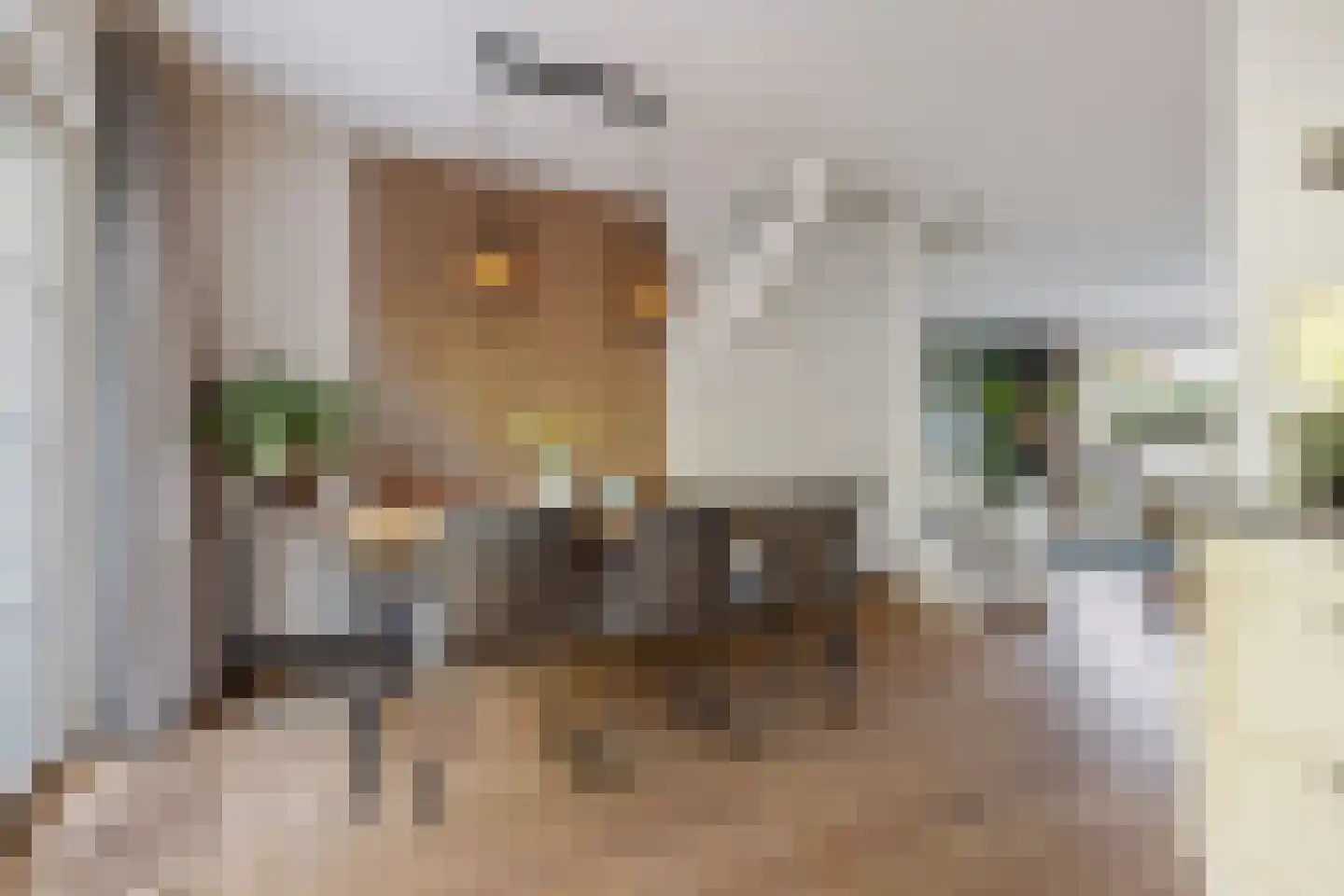 Beukebeek 14 Veldhoven thumbnail 23