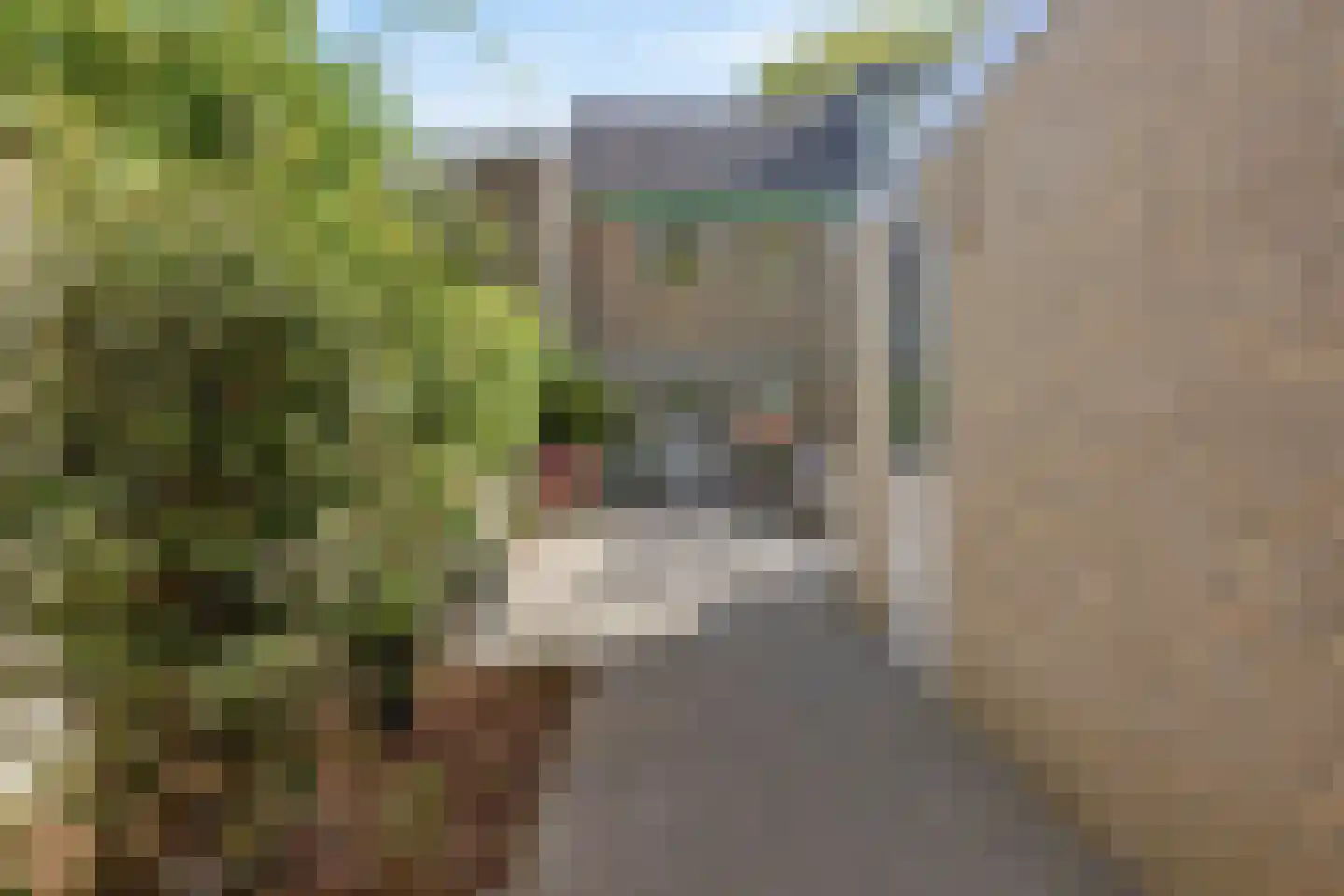 Beukebeek 14 Veldhoven thumbnail 27