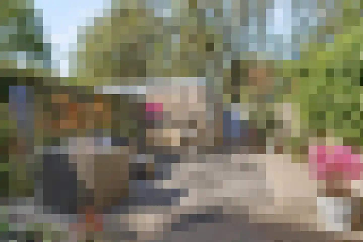 Beukebeek 14 Veldhoven thumbnail 4