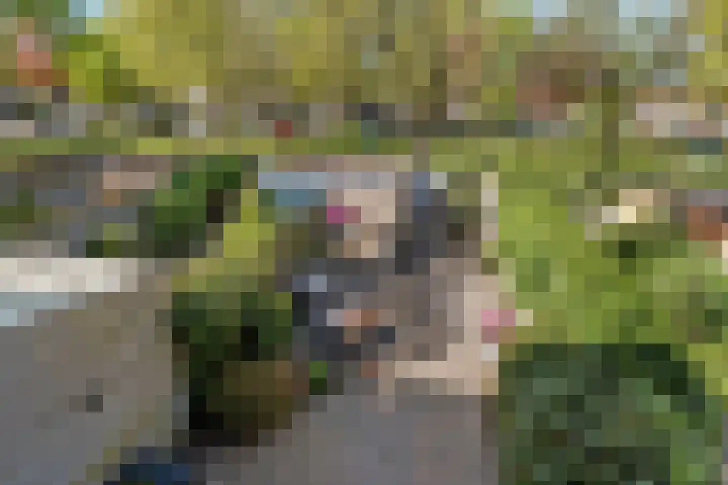 Beukebeek 14 Veldhoven thumbnail 42