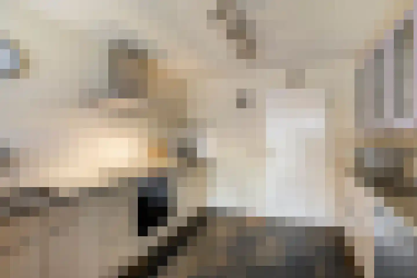 Beukeboom 6 Culemborg thumbnail 12
