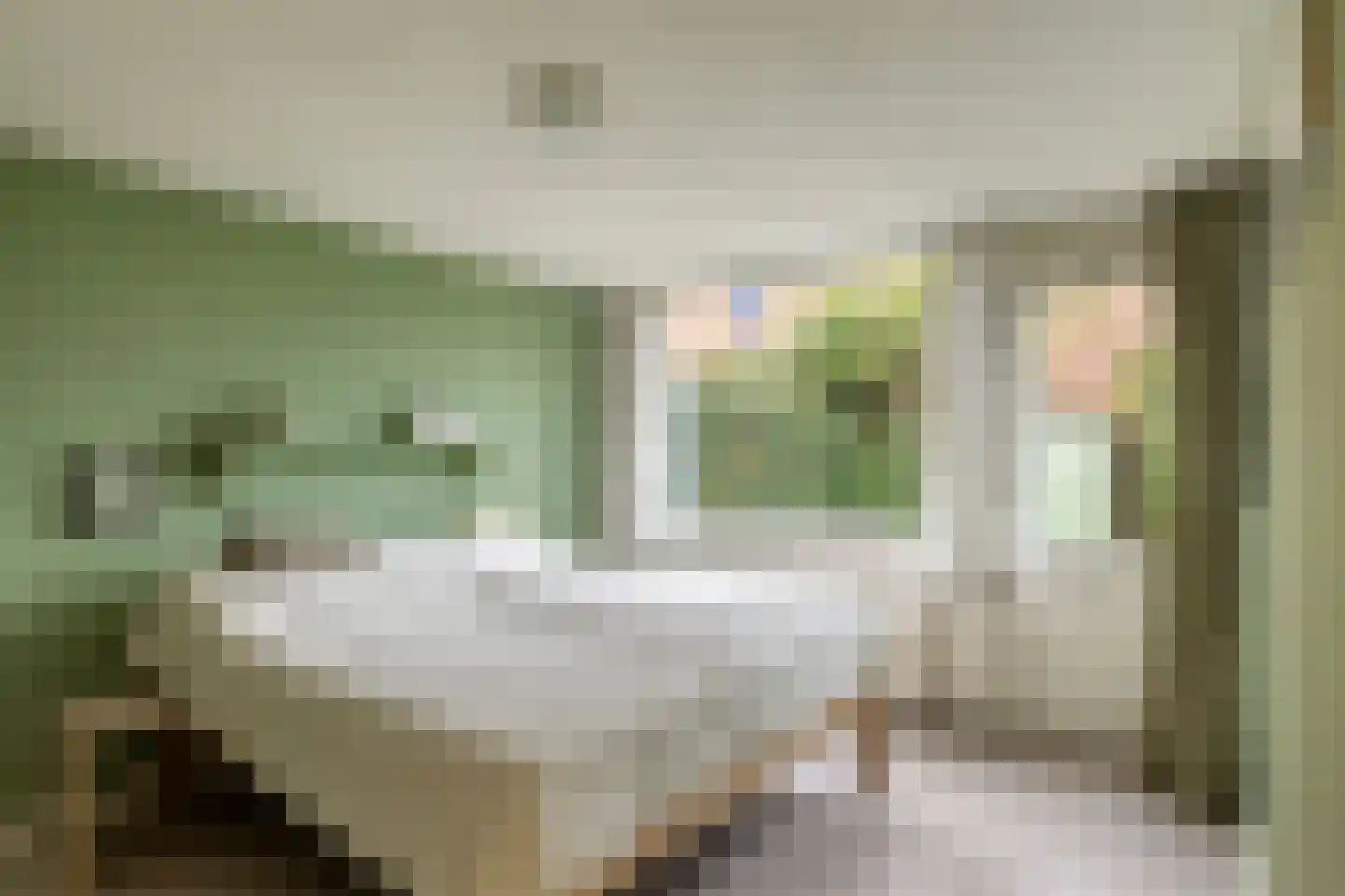 Beukeboom 6 Culemborg thumbnail 21
