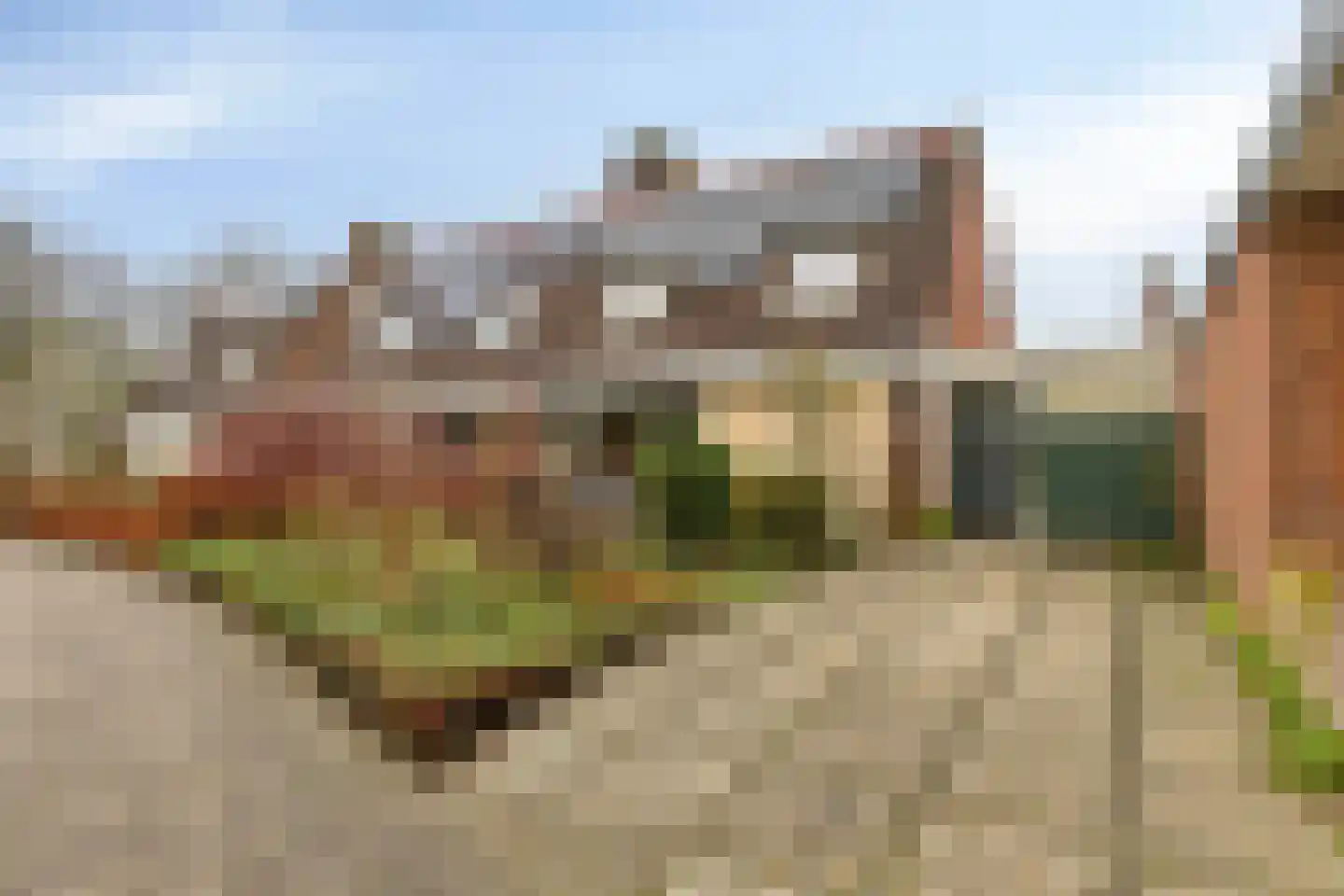 Beukeboom 6 Culemborg foto 3
