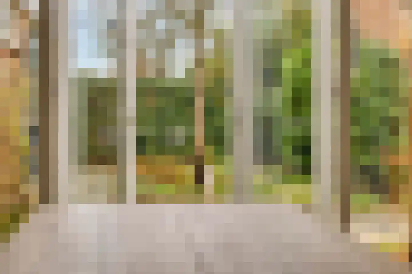 Beukeboom 6 Culemborg thumbnail 41