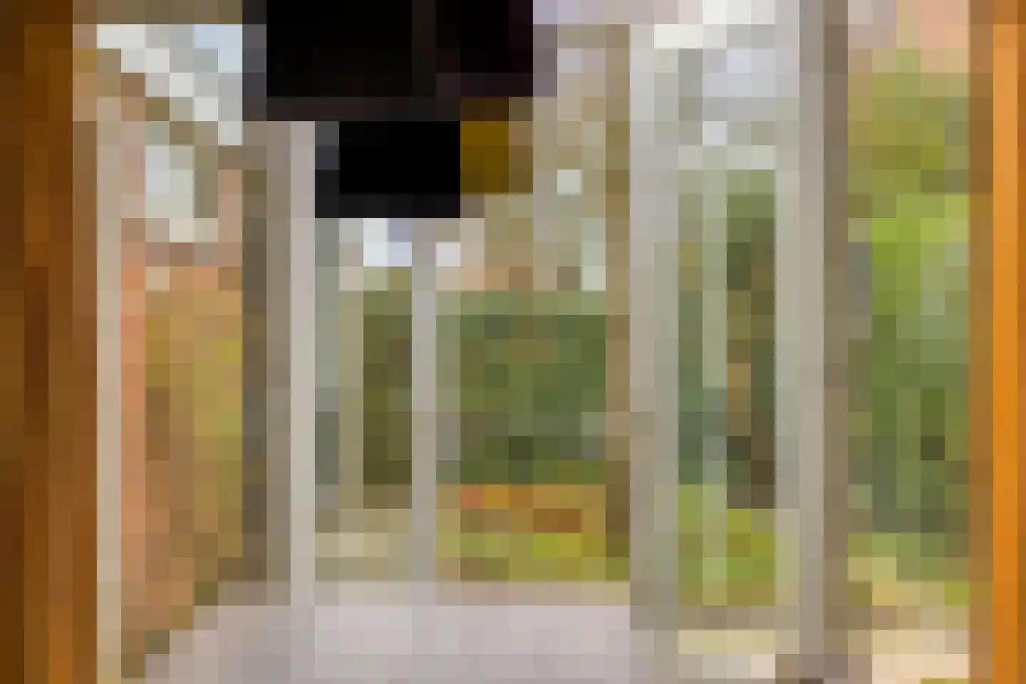 Beukeboom 6 Culemborg thumbnail 42