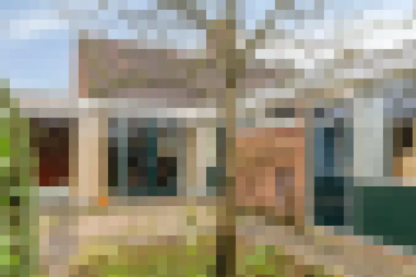 Beukeboom 6 Culemborg thumbnail 43