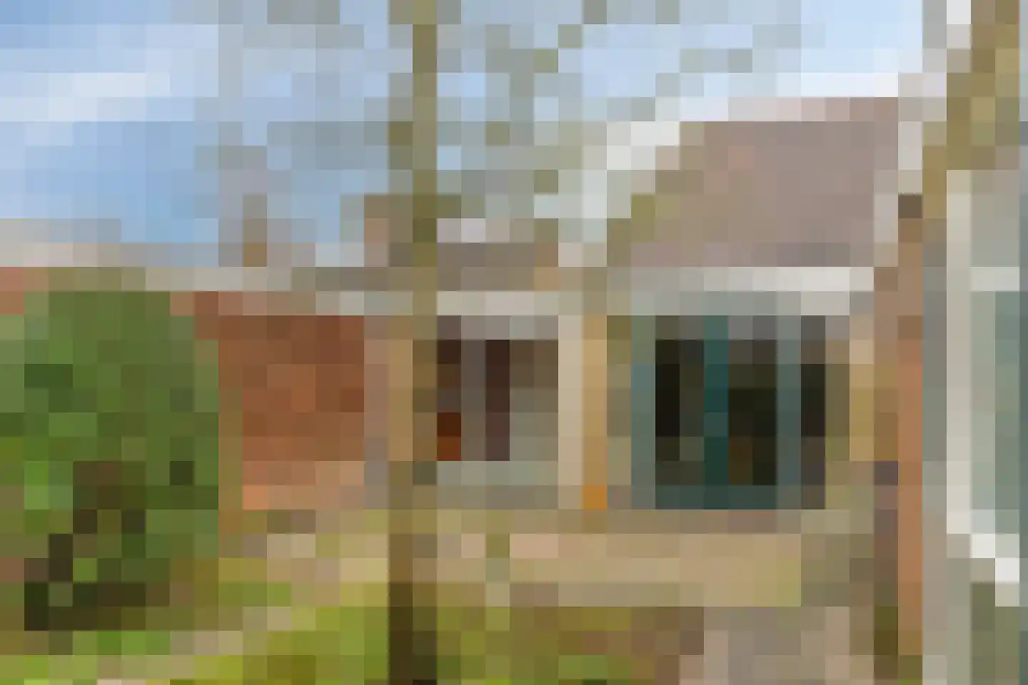 Beukeboom 6 Culemborg thumbnail 44