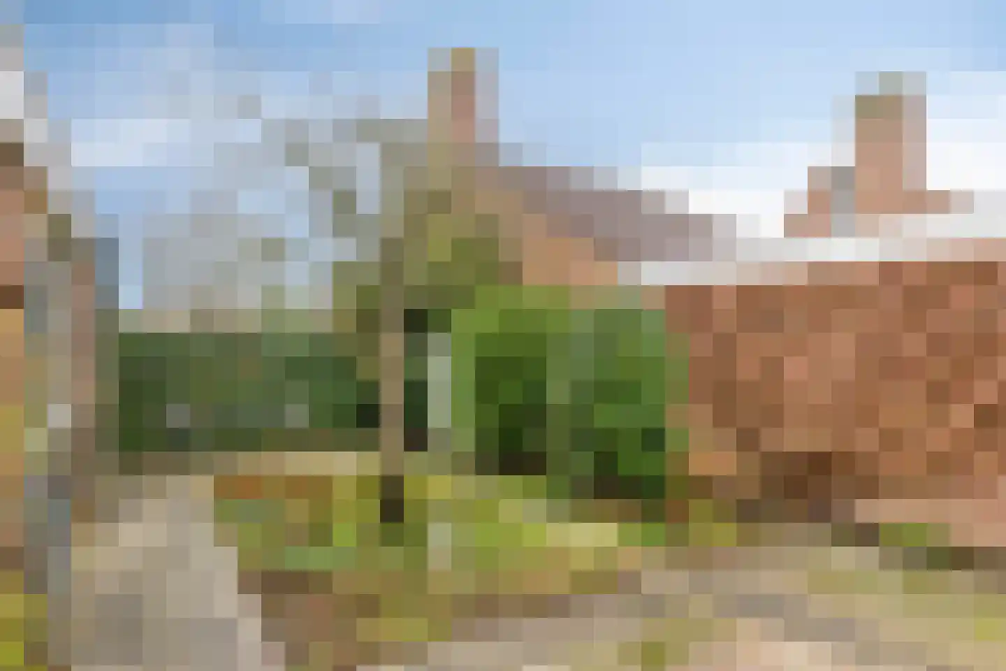 Beukeboom 6 Culemborg thumbnail 45