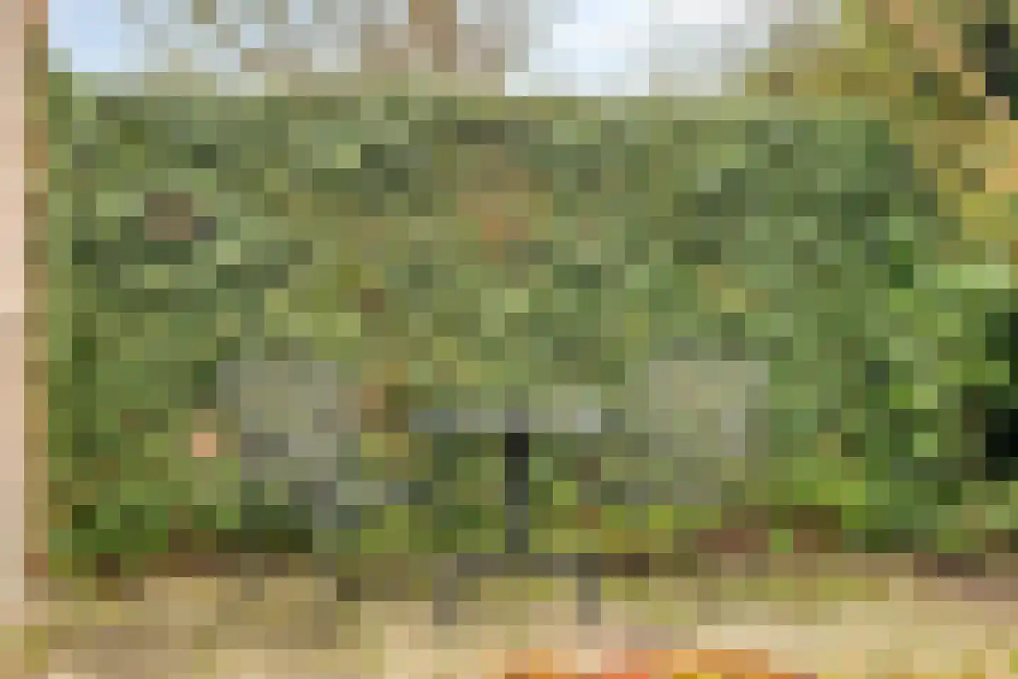 Beukeboom 6 Culemborg thumbnail 47