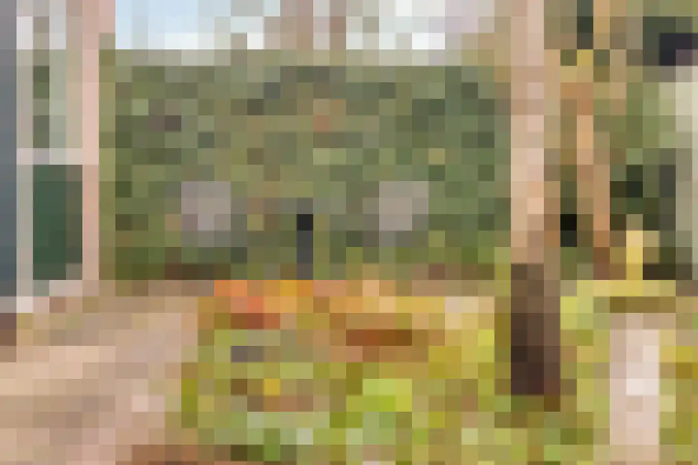 Beukeboom 6 Culemborg thumbnail 48