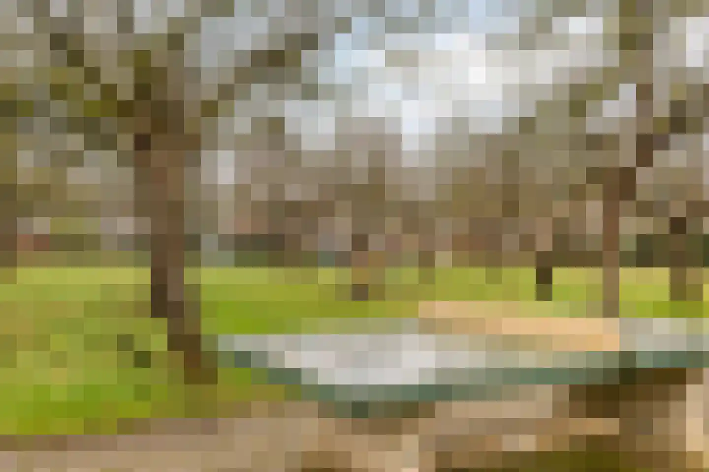 Beukeboom 6 Culemborg thumbnail 49