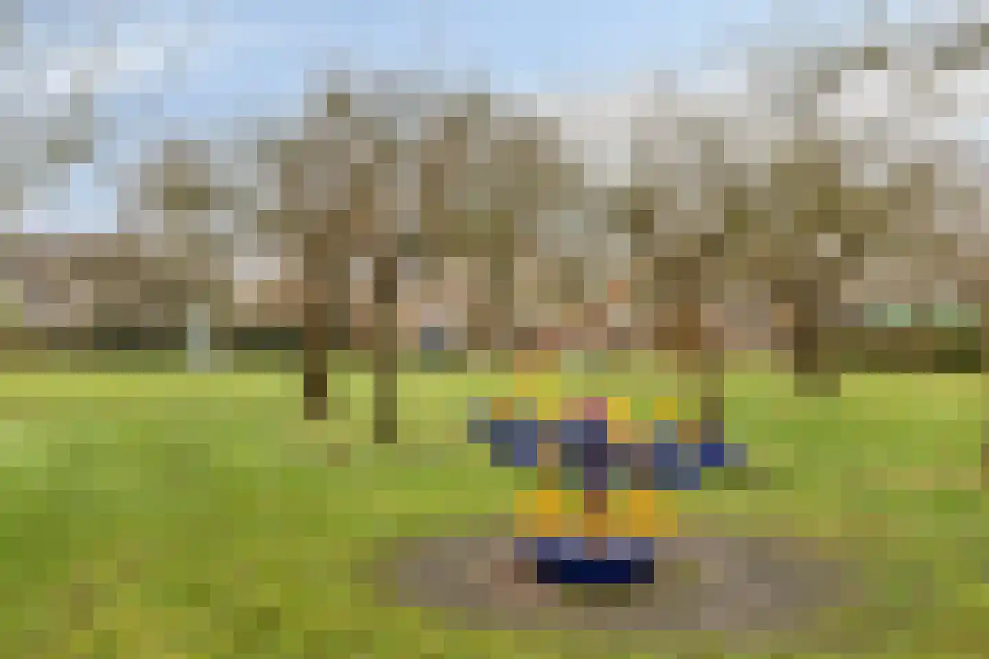 Beukeboom 6 Culemborg thumbnail 50