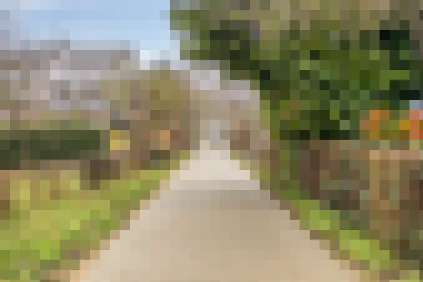 Beukeboom 6 Culemborg thumbnail 51