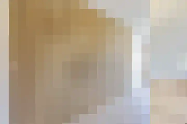 Beukeboomstraat 3 Eemnes thumbnail 13