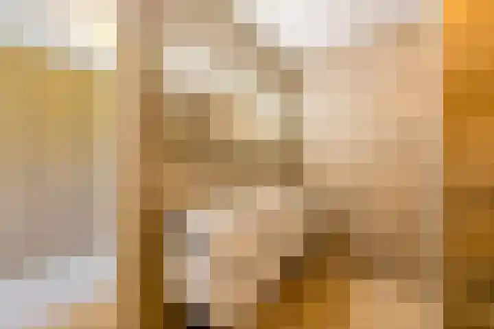 Beukeboomstraat 3 Eemnes thumbnail 19