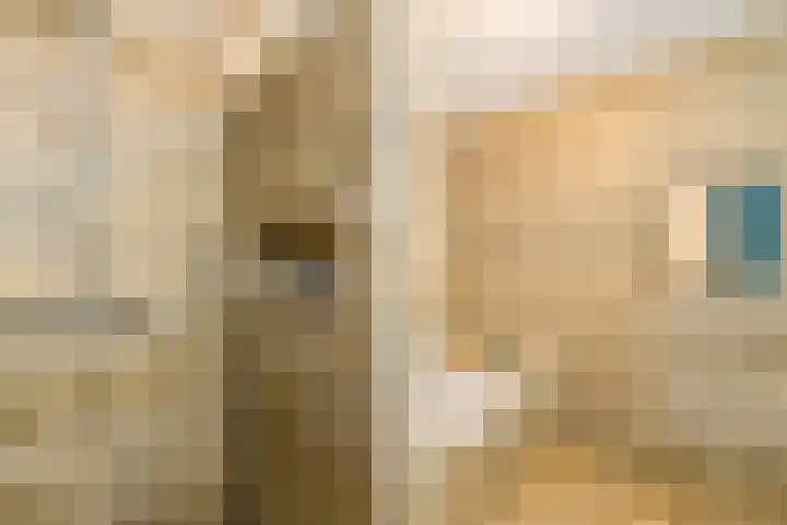 Beukeboomstraat 3 Eemnes thumbnail 20