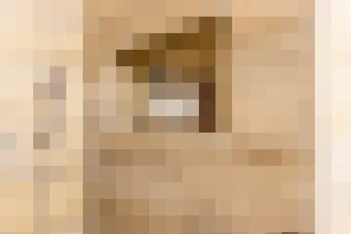 Beukeboomstraat 3 Eemnes thumbnail 21
