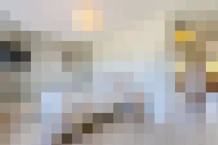 Beukeboomstraat 3 Eemnes thumbnail 24
