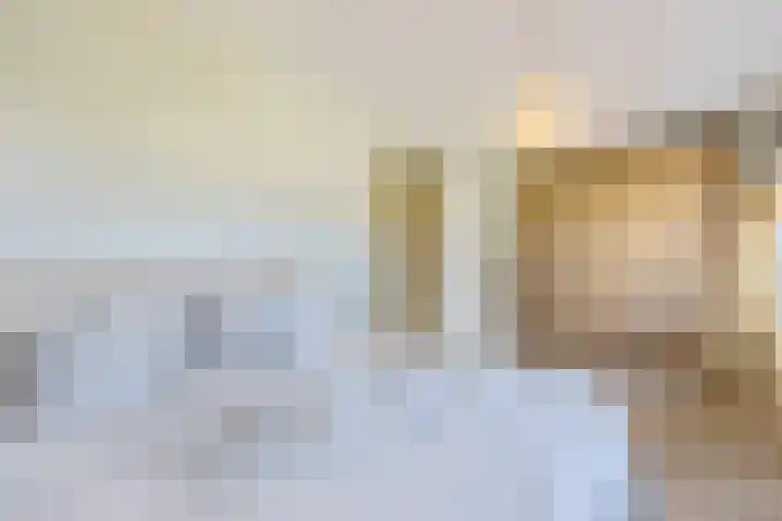 Beukeboomstraat 3 Eemnes thumbnail 25