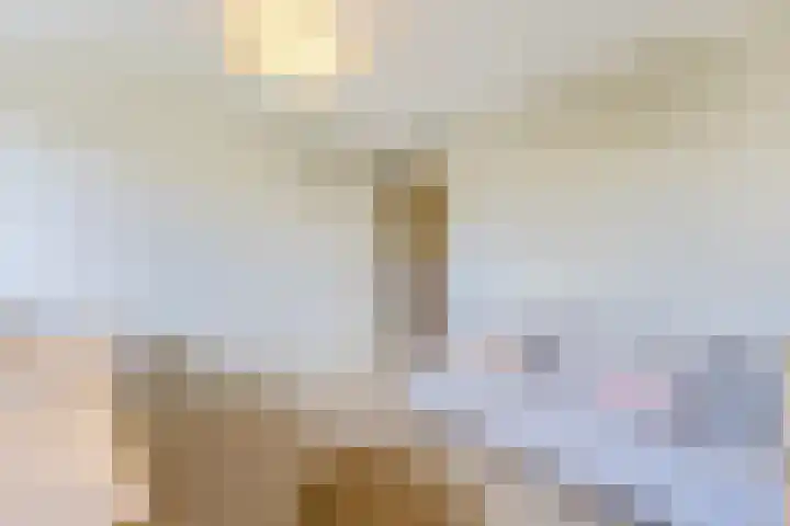 Beukeboomstraat 3 Eemnes thumbnail 35
