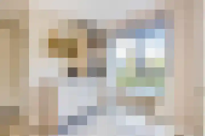 Beukeboomstraat 3 Eemnes thumbnail 4