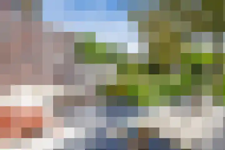Beukeboomstraat 3 Eemnes thumbnail 41