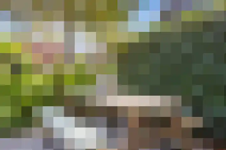 Beukeboomstraat 3 Eemnes thumbnail 44