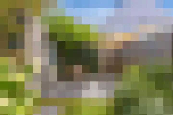 Beukeboomstraat 3 Eemnes thumbnail 46