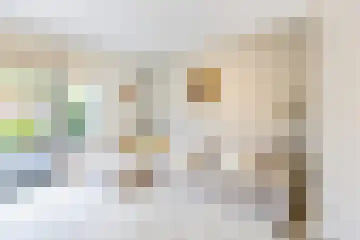 Beukeboomstraat 3 Eemnes thumbnail 9