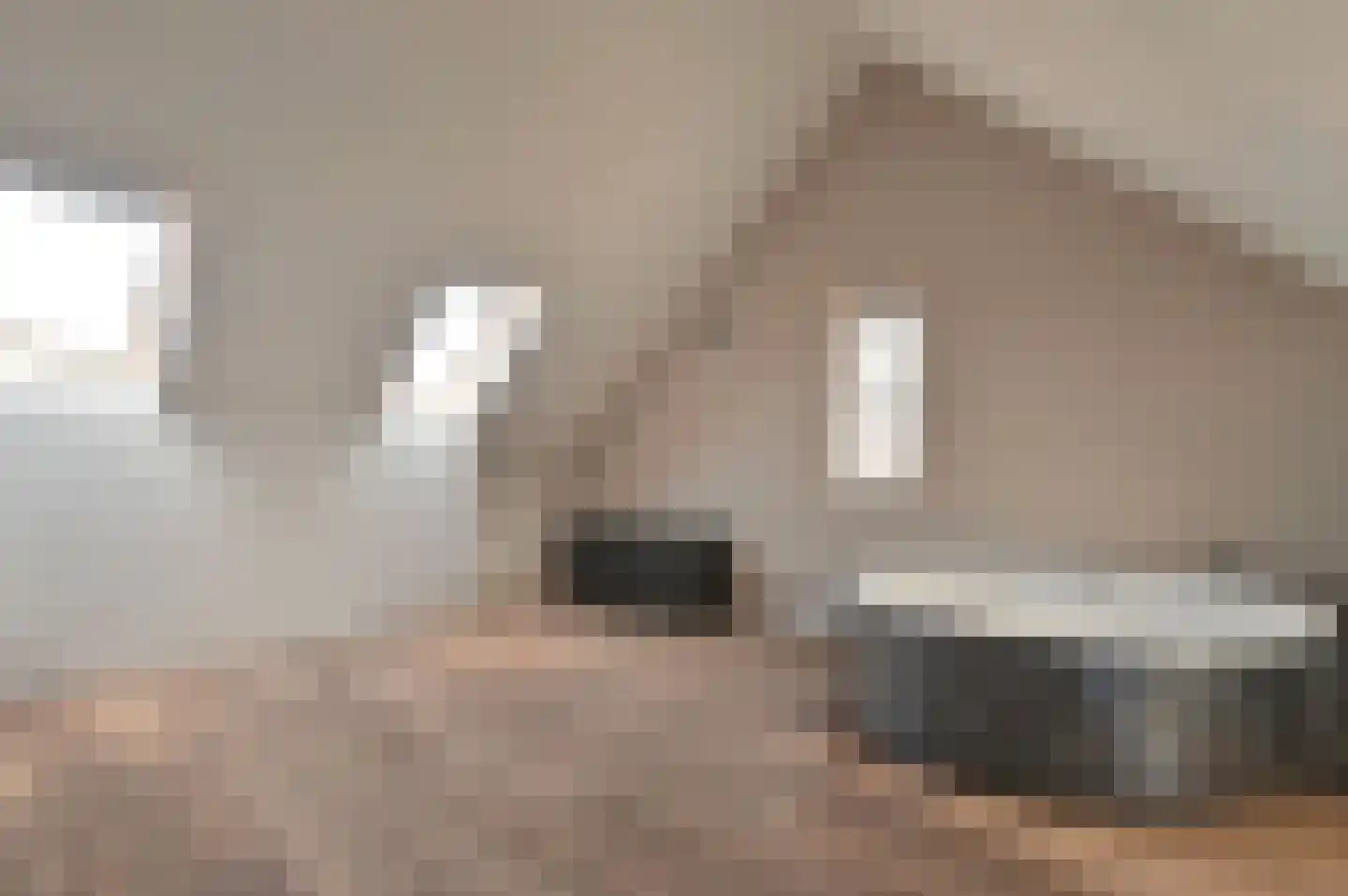 Beukeboomstraat 6 Eemnes thumbnail 23