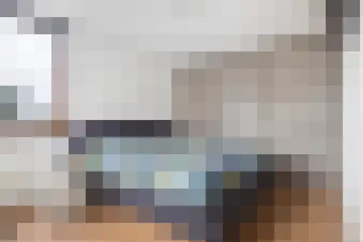 Beukeboomweg 30 Sittard thumbnail 22