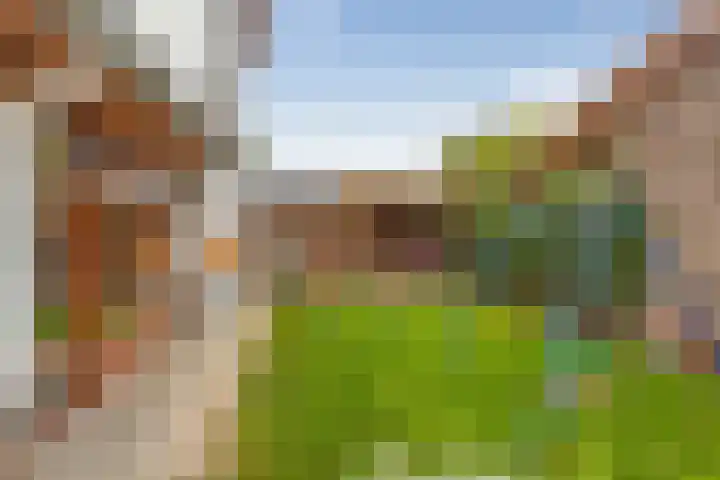 Beukeboomweg 30 Sittard thumbnail 37