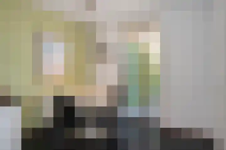 Beukeboomweg 32 Sittard thumbnail 17