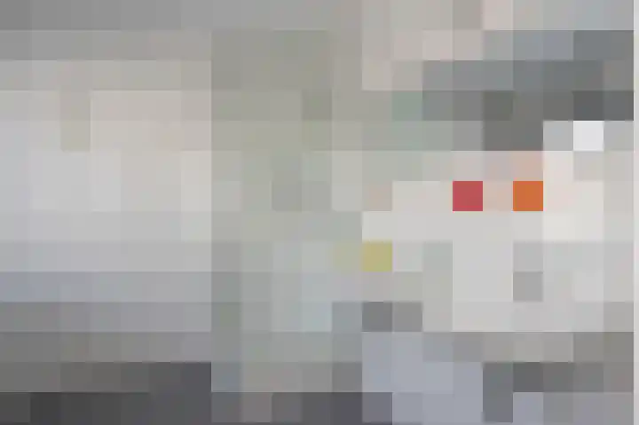 Beukeboomweg 32 Sittard thumbnail 32