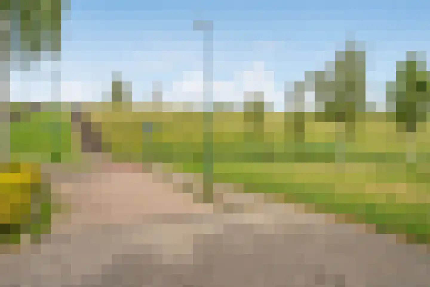 Beukehout 9 Zoetermeer thumbnail 28