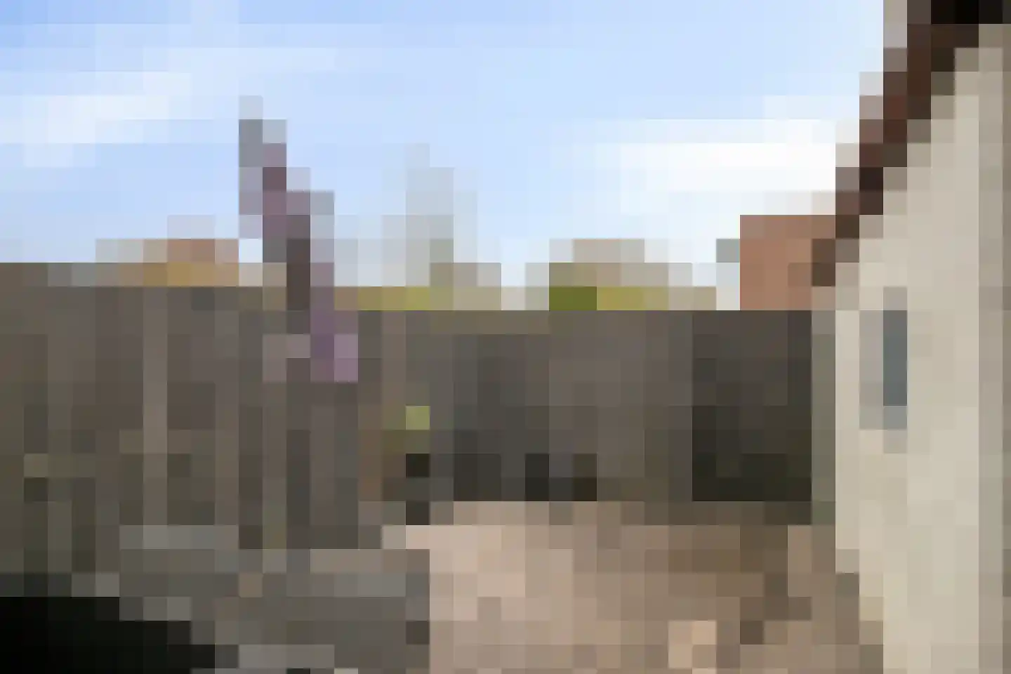 Beukehoutstraat 11 Helmond thumbnail 30