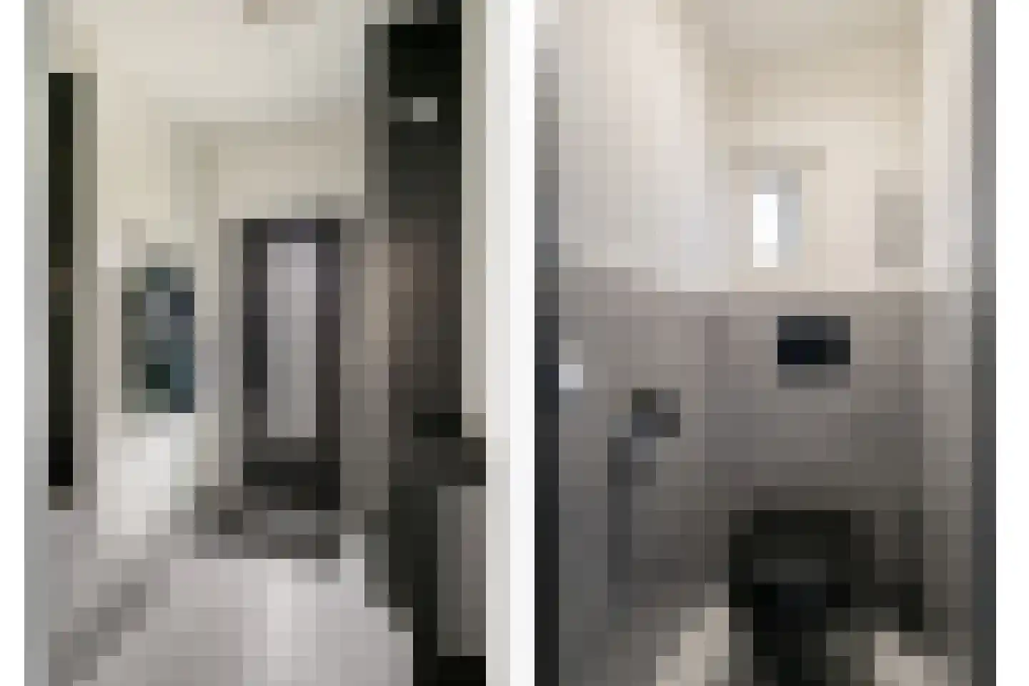 Beukehoutstraat 11 Helmond thumbnail 4