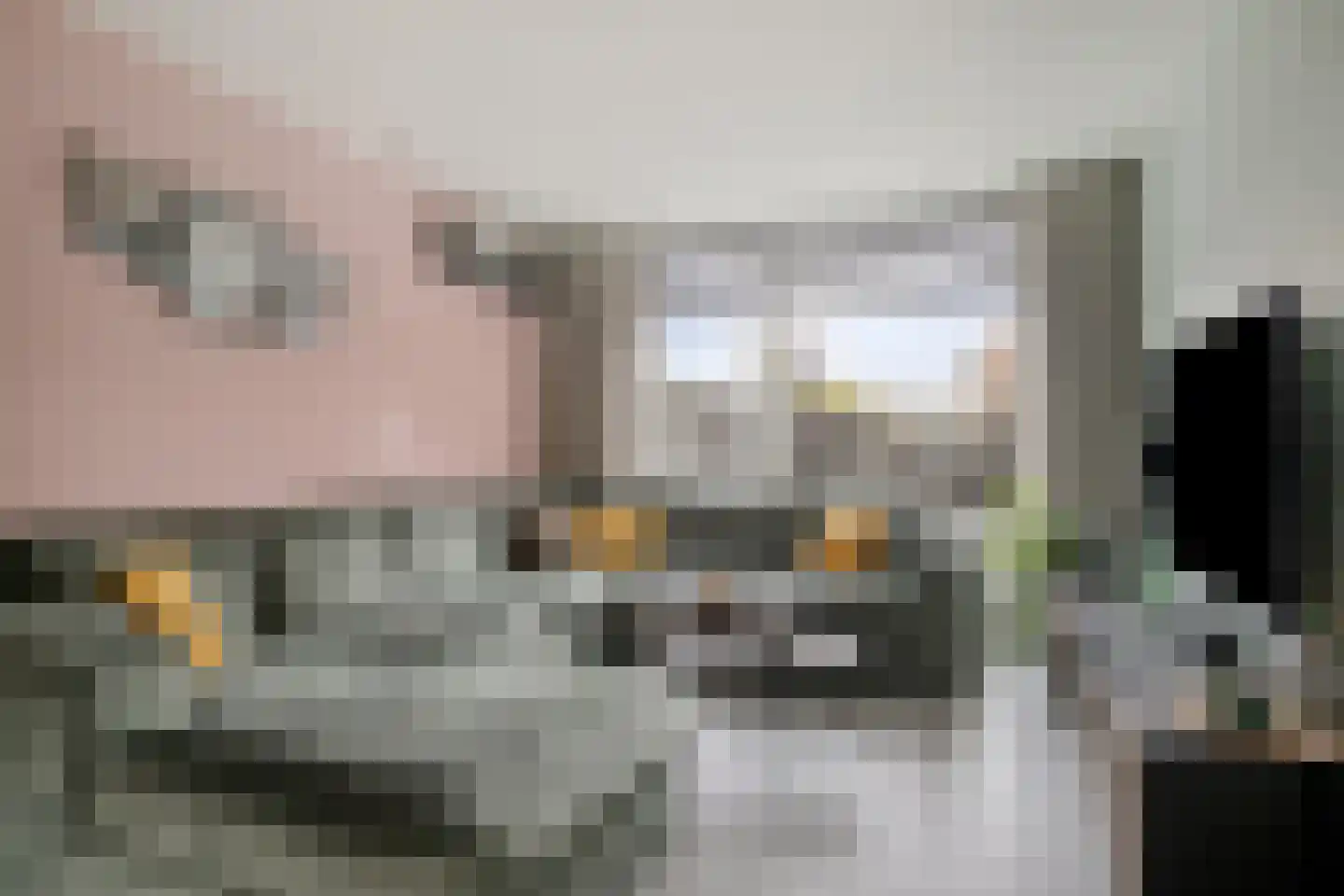 Beukehoutstraat 11 Helmond thumbnail 7