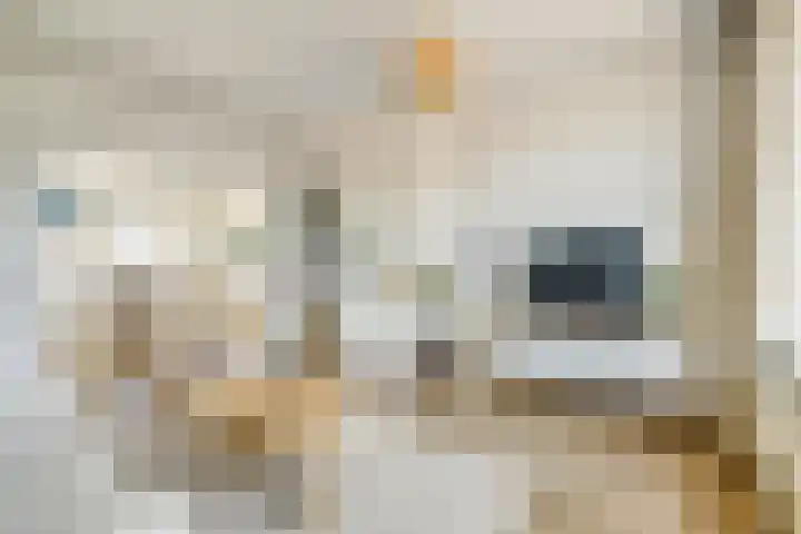Beukehoutstraat 71 Helmond thumbnail 6