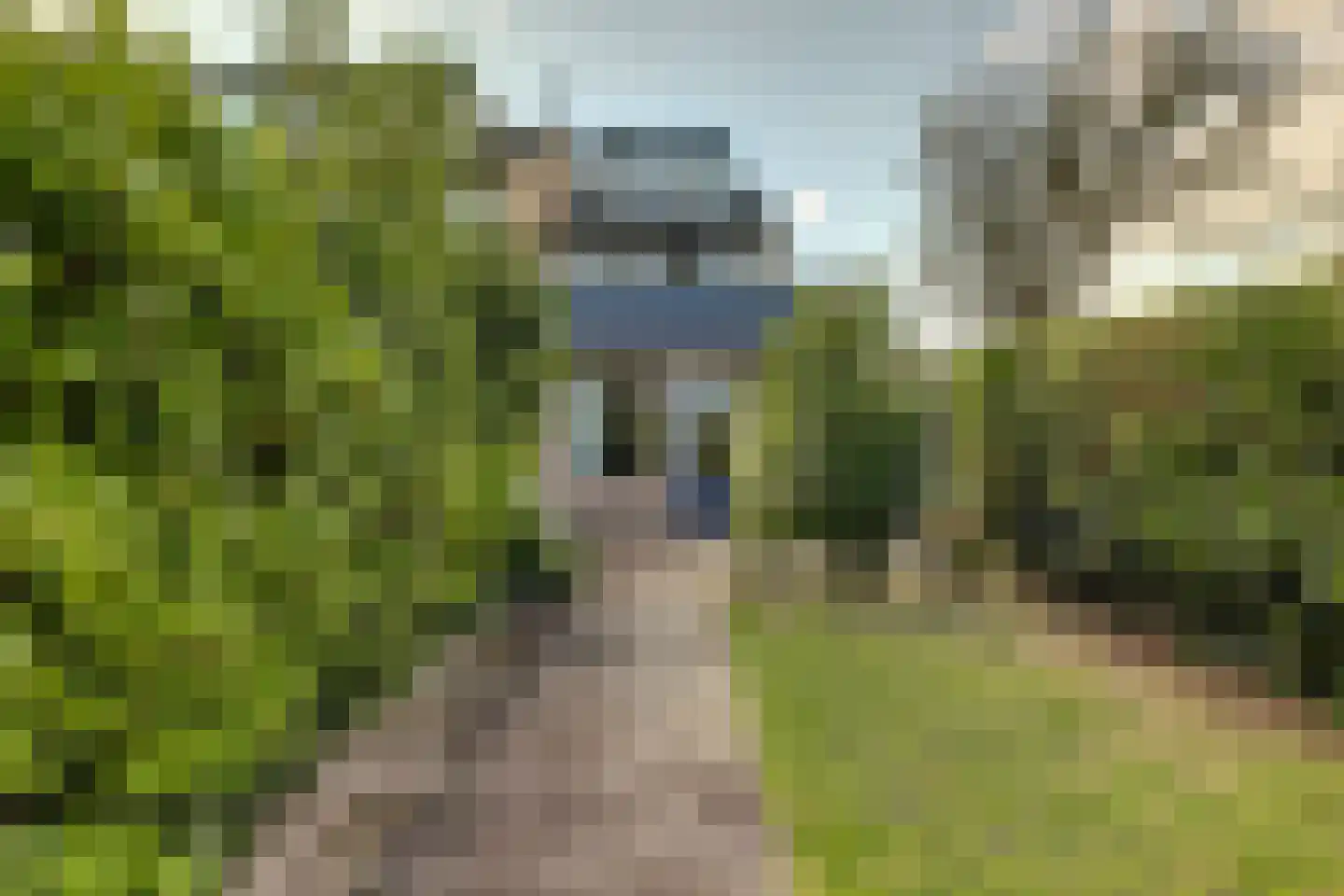 Beukelaan 16 Gouda thumbnail 39
