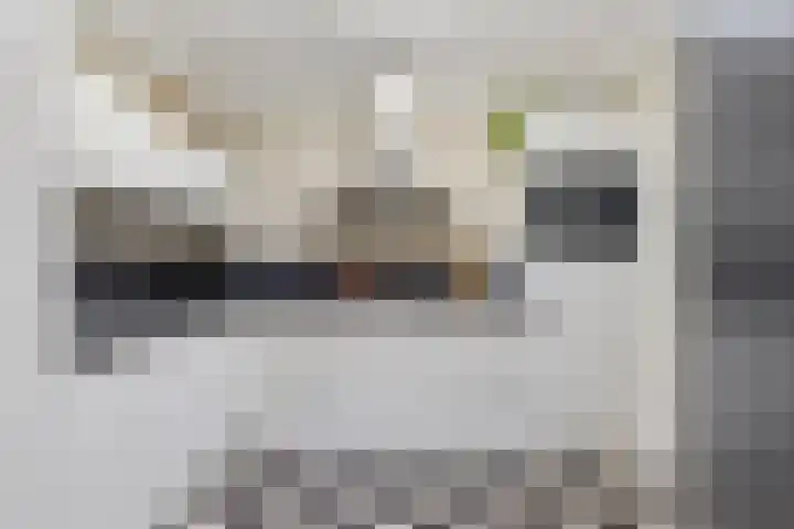 Beukelaar 10 Veghel thumbnail 11
