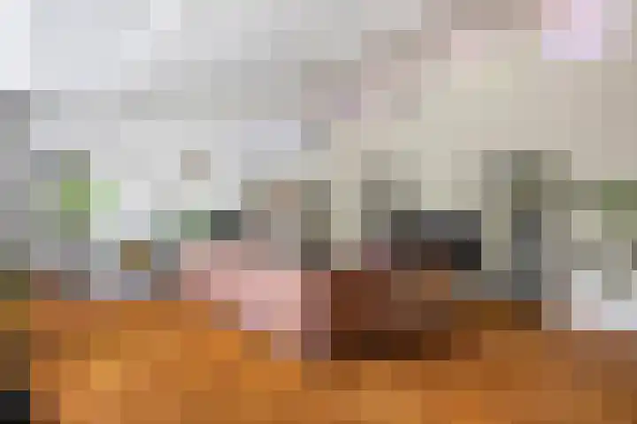 Beukelaar 10 Veghel thumbnail 15