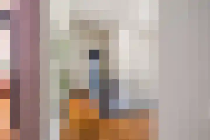 Beukelaar 10 Veghel thumbnail 21