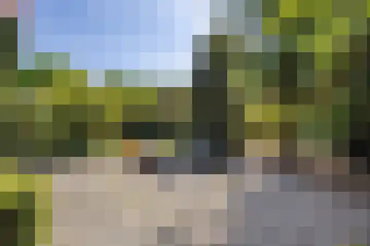 Beukelaar 10 Veghel thumbnail 37