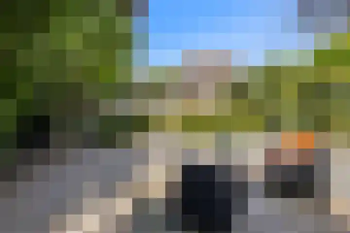 Beukelaar 10 Veghel thumbnail 38